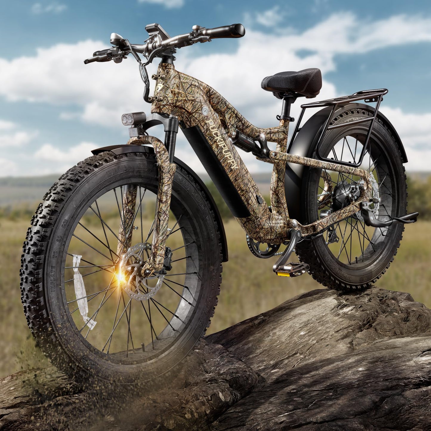 Adult All-Terrain Electric Bike