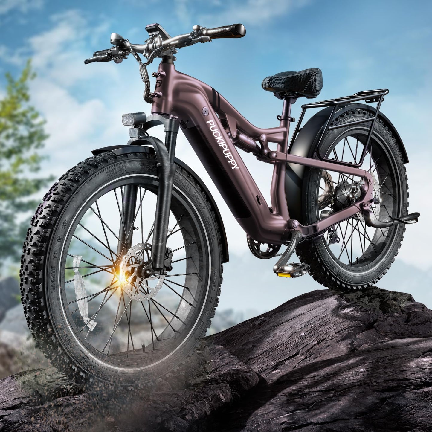 Adult All-Terrain Electric Bike