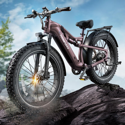 Adult All-Terrain Electric Bike
